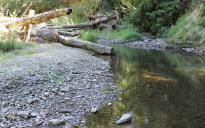 Rock Creek Confluence Stream Habitat Restoration – Clackamas County, Oregon