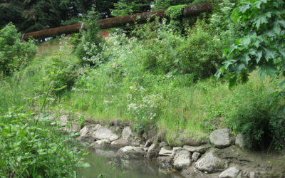 Tryon Creek Sanitary Sewer Trunk Upgrade Stream Bank Stabilization – Lake Oswego, Oregon