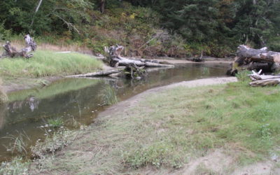 Columbia River Estuary Study Task Force, Estuarine Wetland and Anadramous Fish Habitat Restoration – Chinook, Washington