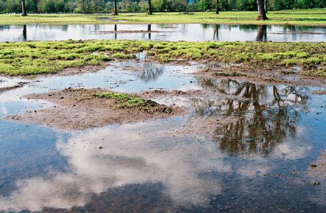 Wetland Systems – Clackamas County, Oregon