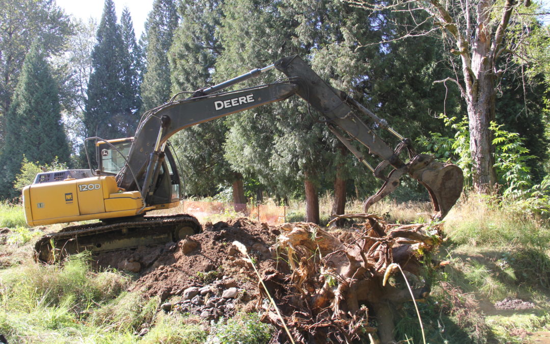 August 24, 2017 – Brigman Creek Dam and Bridge Removals and Large Wood Structure Placement