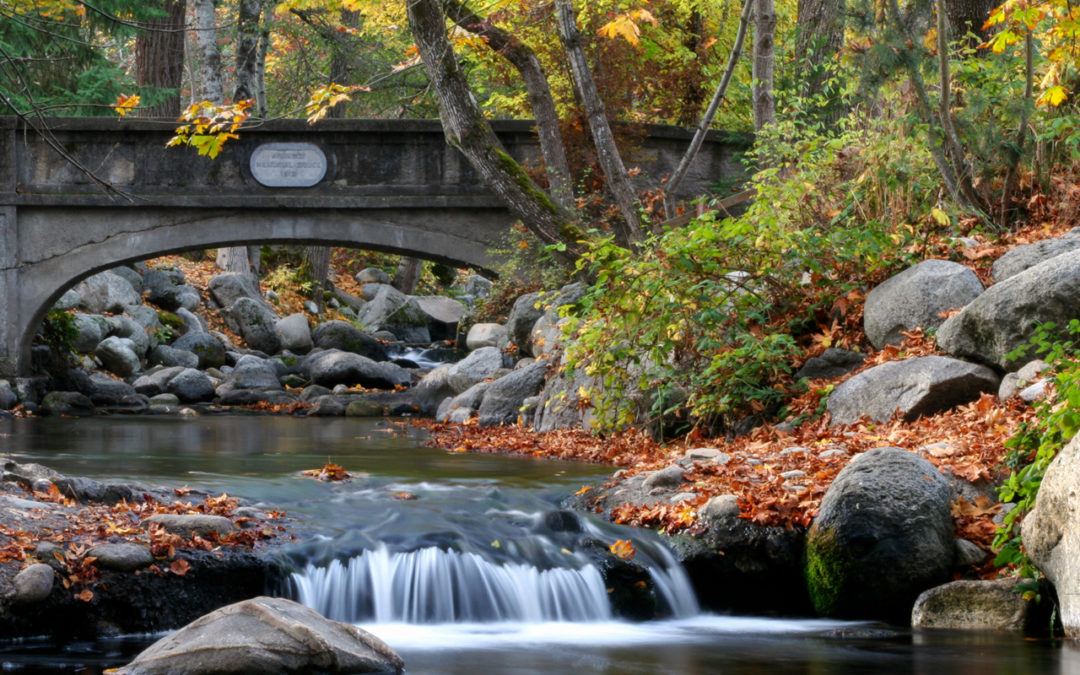 July 27, 2017 – Lithia Park Master Plan Contract Awarded