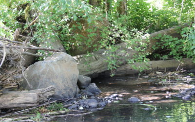 Johnson Creek Habitat Assessment and Stream Stabilization – Multnomah County, Oregon