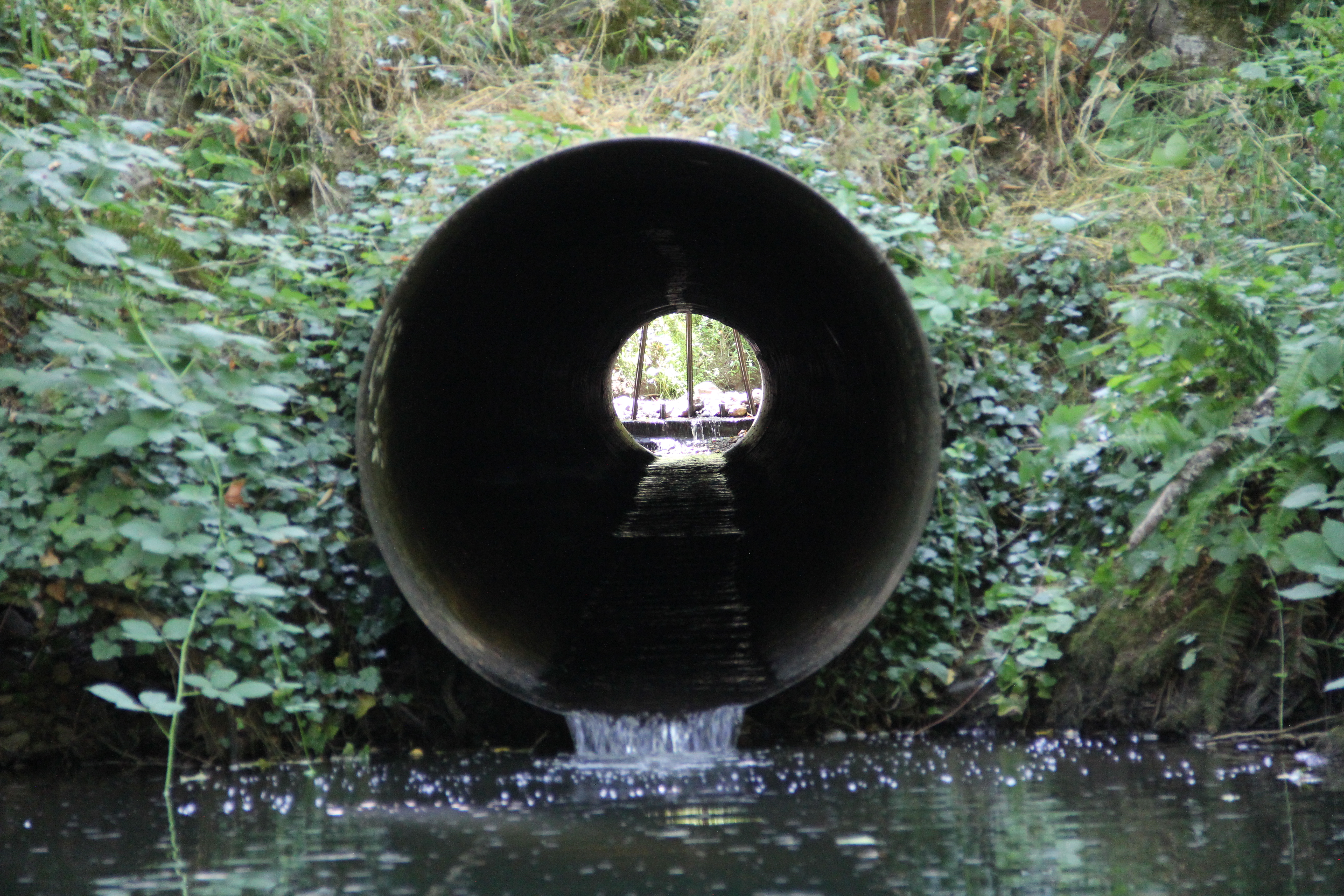 Tryon Creek Fish Passage Design Finalized