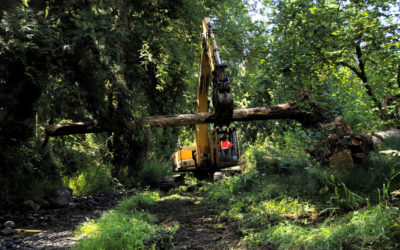 Johnson and Brigman Creeks Confluence –          Construction Completed