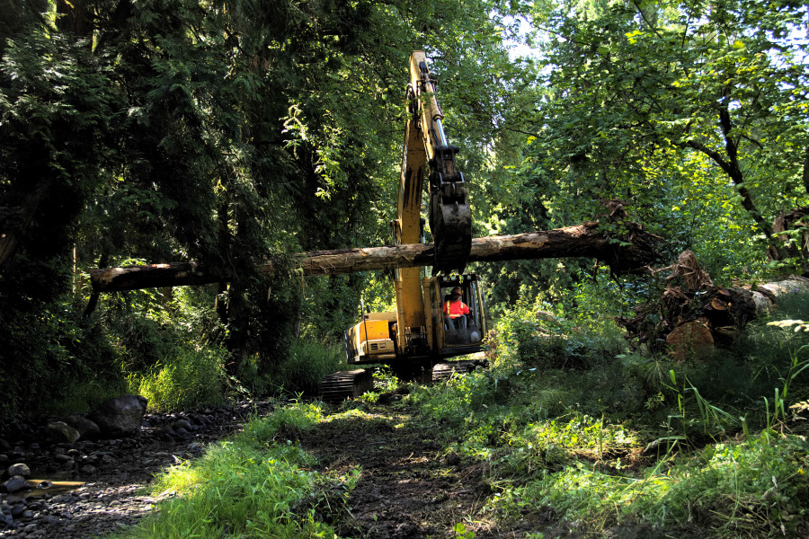 Johnson and Brigman Creeks Confluence –          Construction Completed