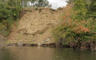 Willamette River Bank Erosion and Failure Assessment