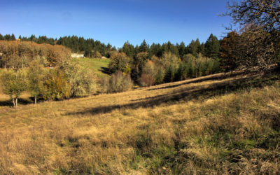 Stream Stabilization and Restoration