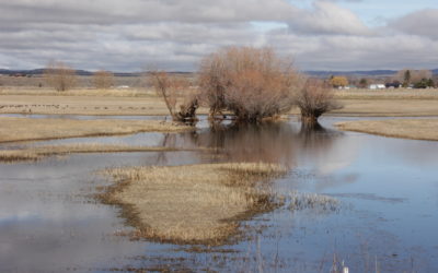 Silvies River Flood Management